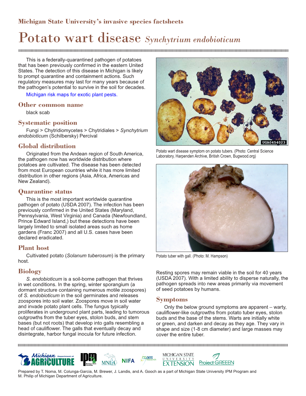 Potato Wart Disease Synchytrium Endobioticum