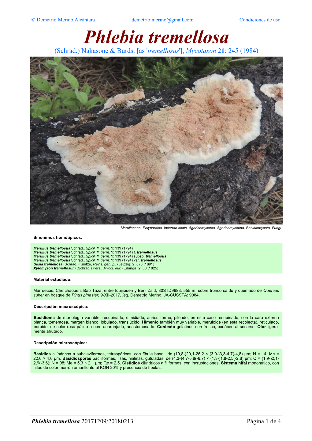 Phlebia Tremellosa Phlebia 4 De 1 Página 20171209/20180213