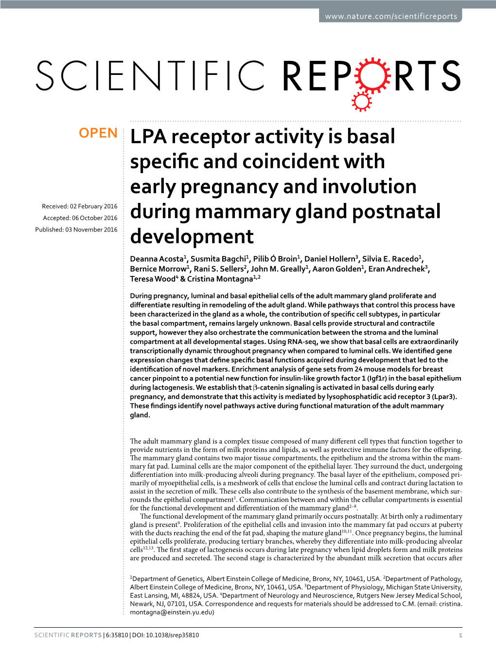 LPA Receptor Activity Is Basal Specific and Coincident with Early