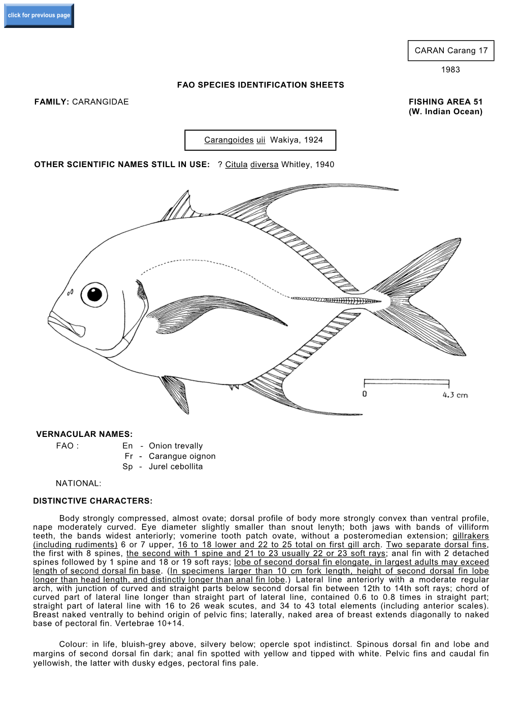 CARAN Carang 17 1983 FAO SPECIES IDENTIFICATION