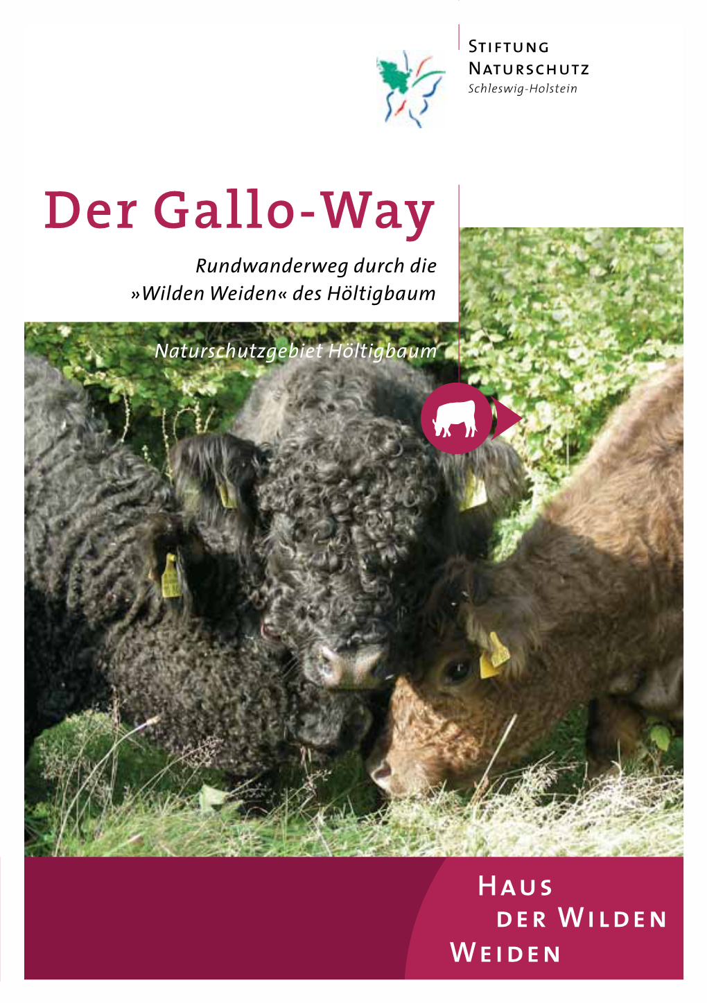 Der Gallo-Way Rundwanderweg Durch Die »Wilden Weiden« Des Höltigbaum
