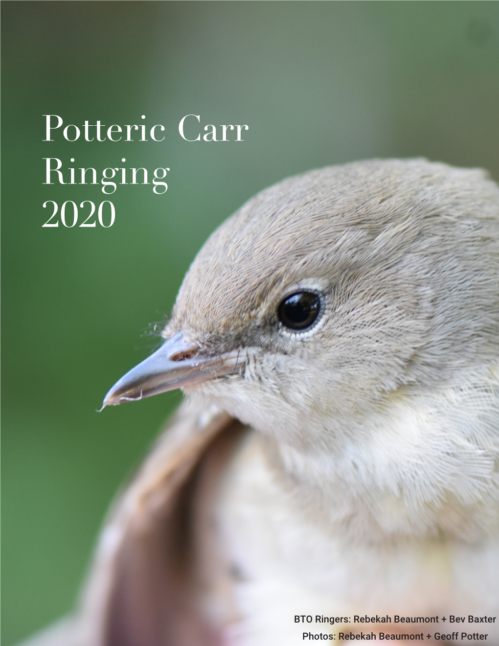 Potteric Carr Ringing 2020