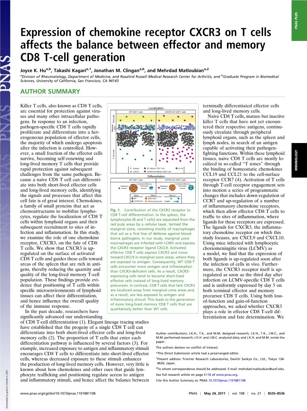 Expression of Chemokine Receptor CXCR3 on T Cells Affects the Balance Between Effector and Memory CD8 T-Cell Generation