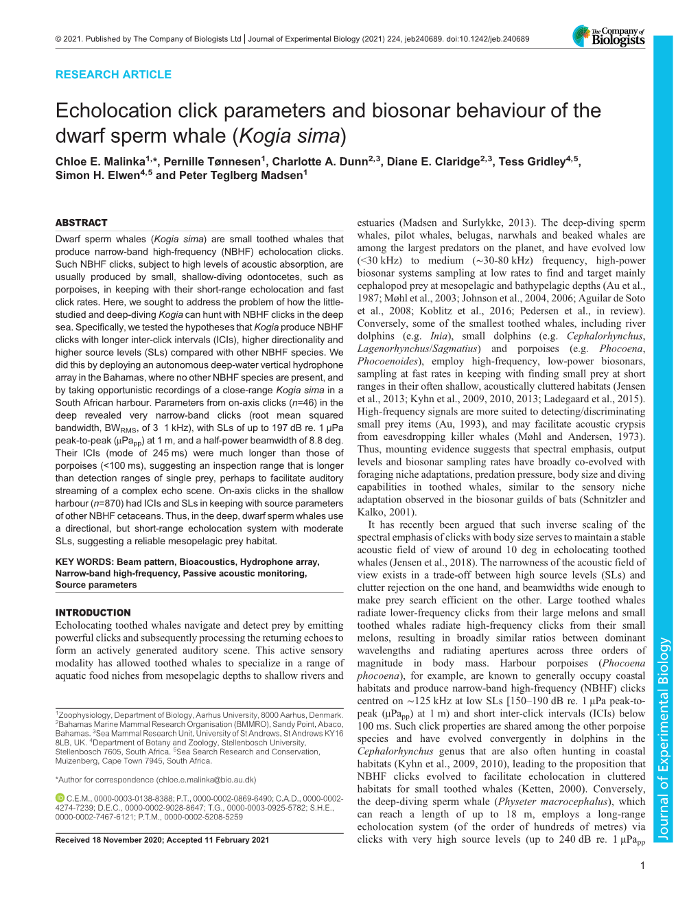 Echolocation Click Parameters and Biosonar Behaviour of the Dwarf Sperm Whale (Kogia Sima) Chloe E