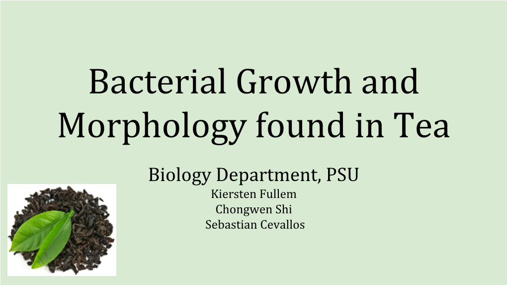 Bacterial Growth and Morphology Found in Tea