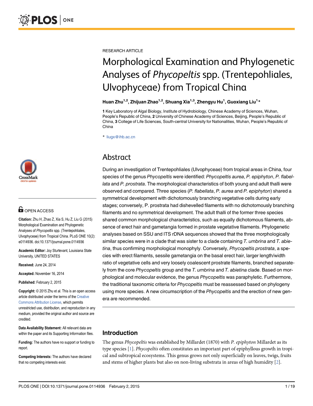 Morphological Examination and Phylogenetic Analyses of Phycopeltis Spp