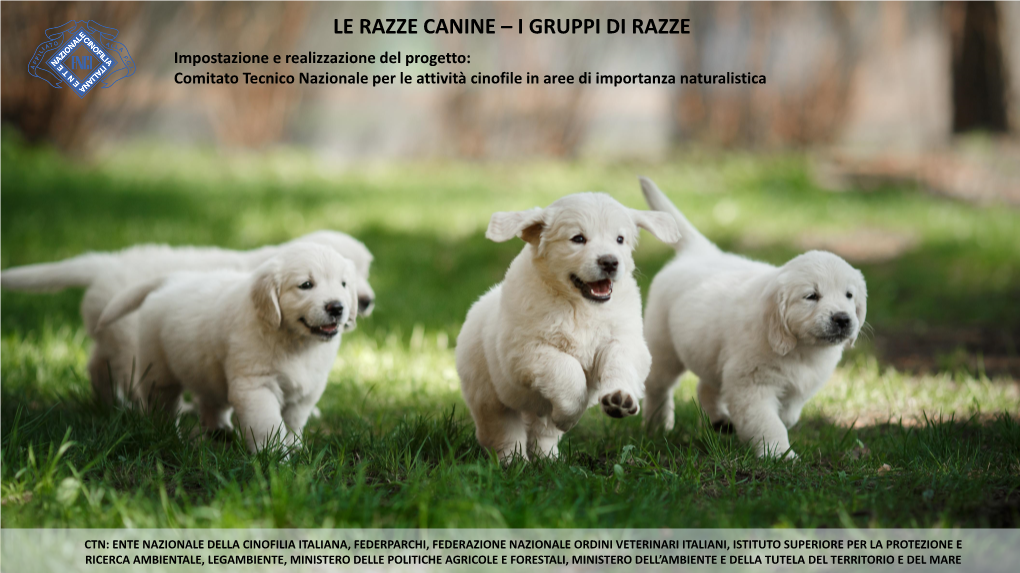 LE RAZZE CANINE – I GRUPPI DI RAZZE Impostazione E Realizzazione Del Progetto: Comitato Tecnico Nazionale Per Le Attività Cinofile in Aree Di Importanza Naturalistica