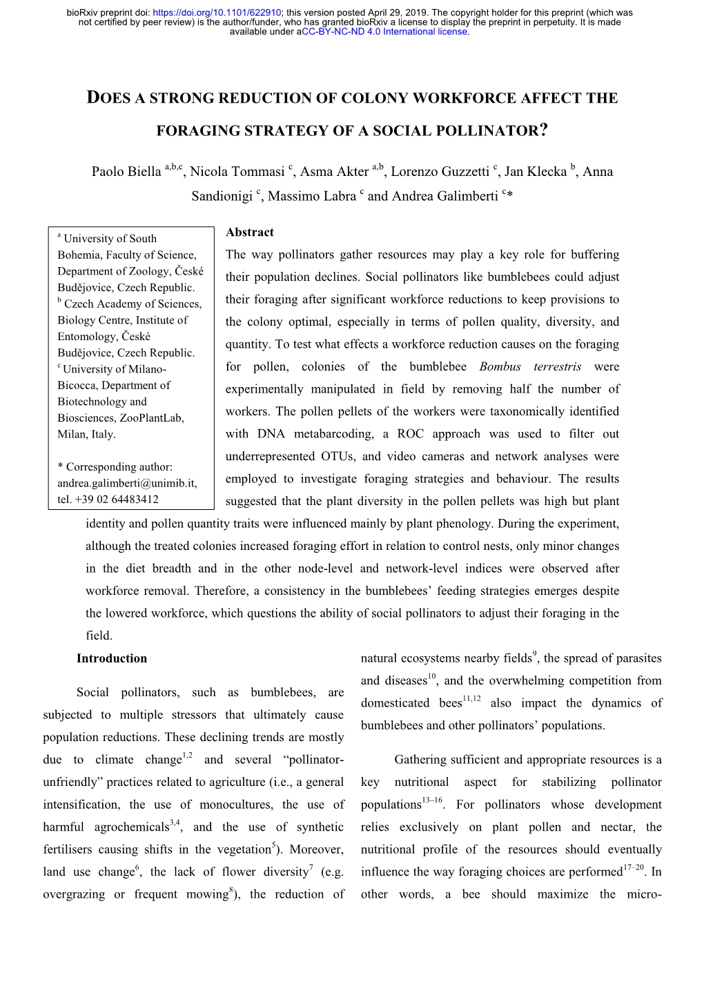 Does a Strong Reduction of Colony Workforce Affect the Foraging