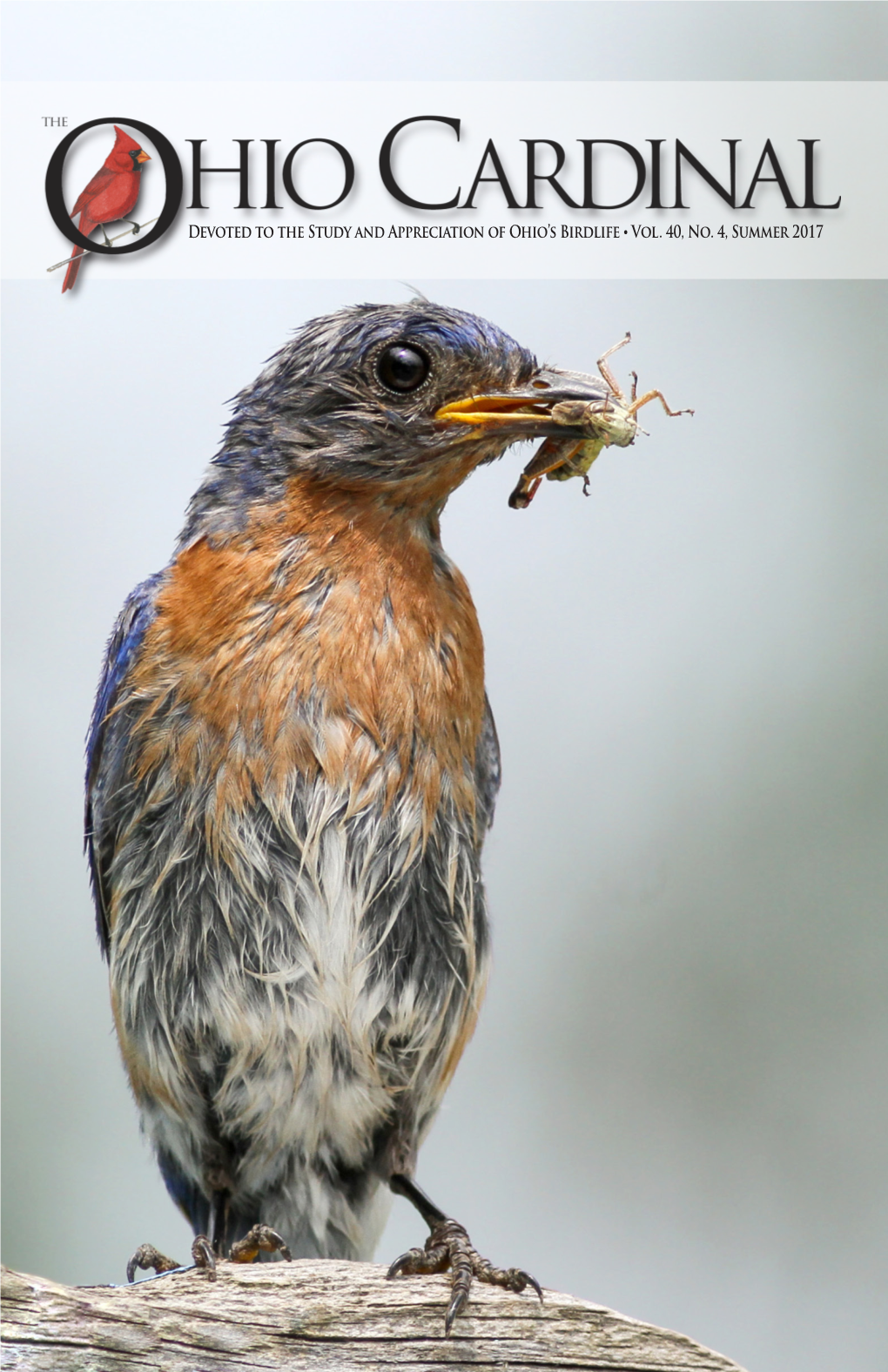 Devoted to the Study and Appreciation of Ohio's Birdlife • Vol. 40, No. 4