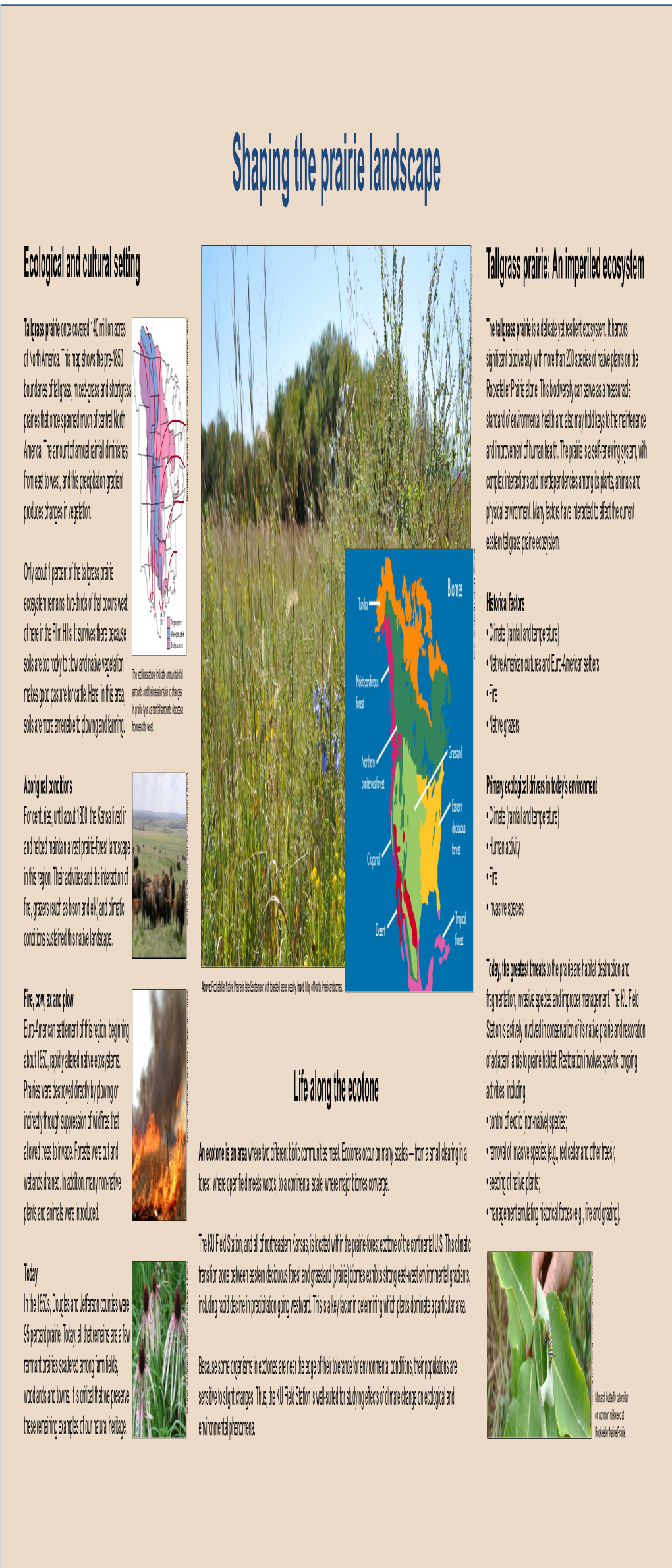 Ecological and Cultural Setting Tallgrass Prairie: an Imperiled Ecosystem Life Along the Ecotone