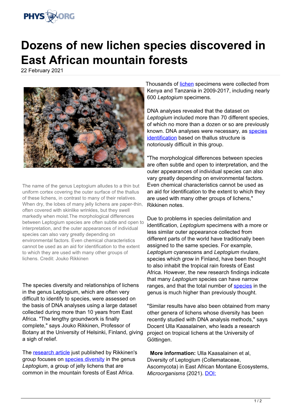 Dozens of New Lichen Species Discovered in East African Mountain Forests 22 February 2021