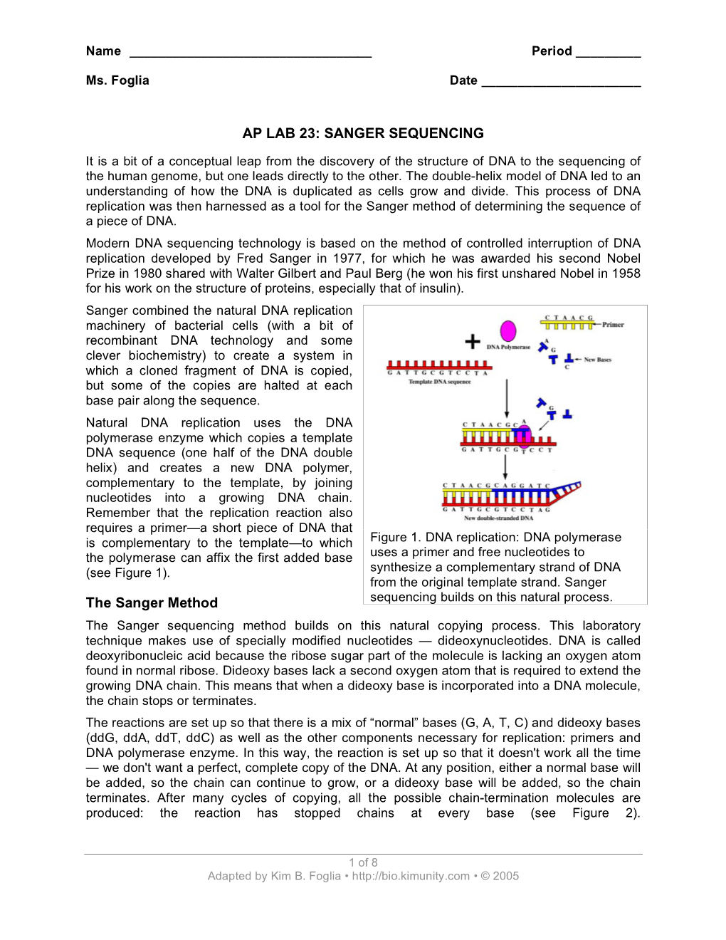 Sanger Sequencing Simulation