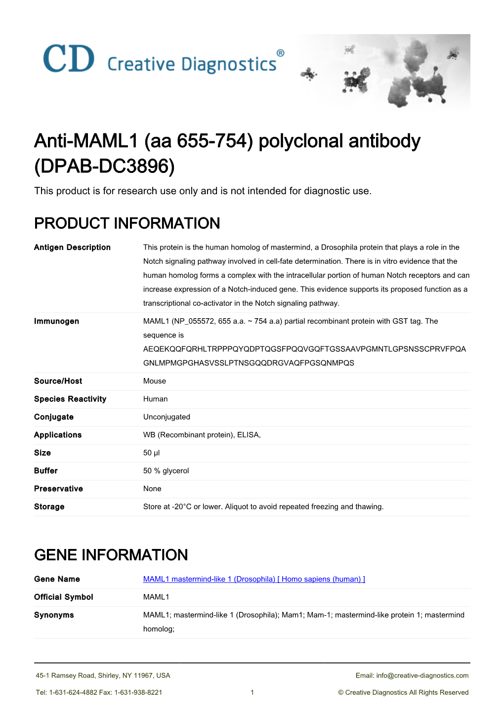 Anti-MAML1 (Aa 655-754) Polyclonal Antibody (DPAB-DC3896) This Product Is for Research Use Only and Is Not Intended for Diagnostic Use