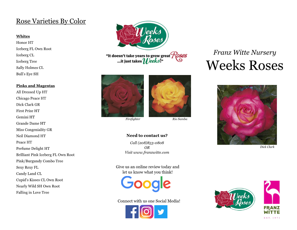 Weeks Roses Bull’S Eye SH