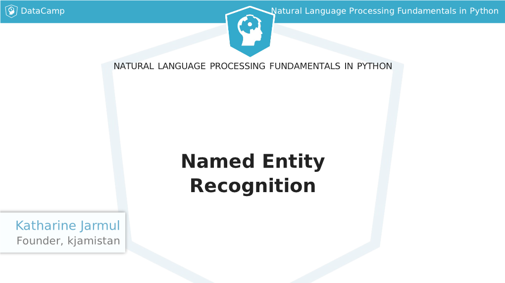 Named Entity Recognition