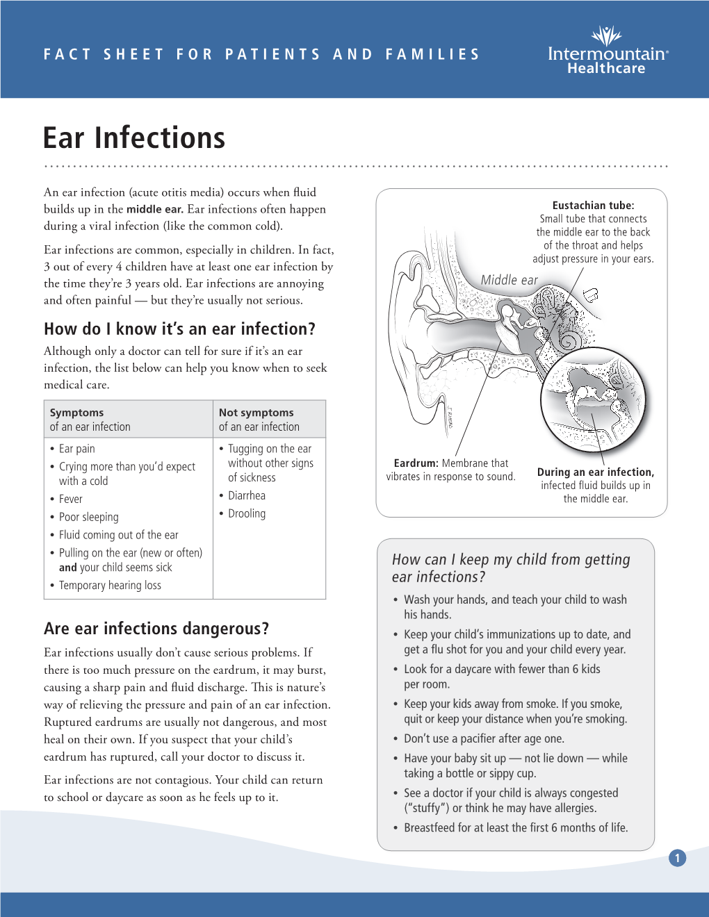 Ear Infections Fact Sheet