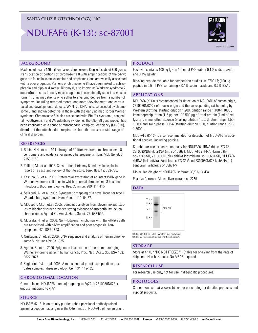 NDUFAF6 (K-13): Sc-87001