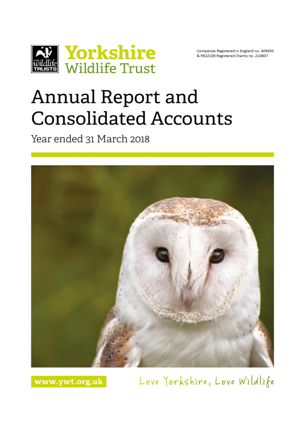 Annual Report and Accounts (2017-2018)