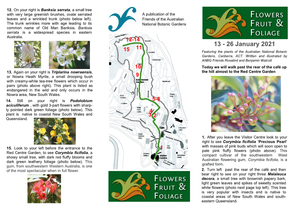 26 January 2021 Featuring the Plants of the Australian National Botanic Gardens, Canberra, ACT