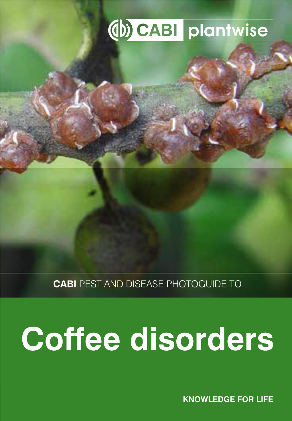 Coffee Disorders