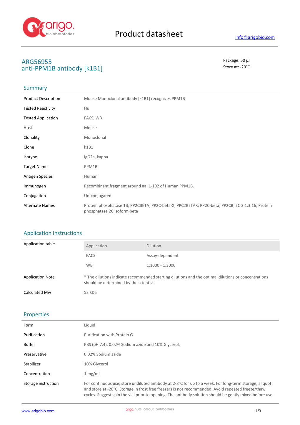 Anti-PPM1B Antibody [K1b1] (ARG56955)