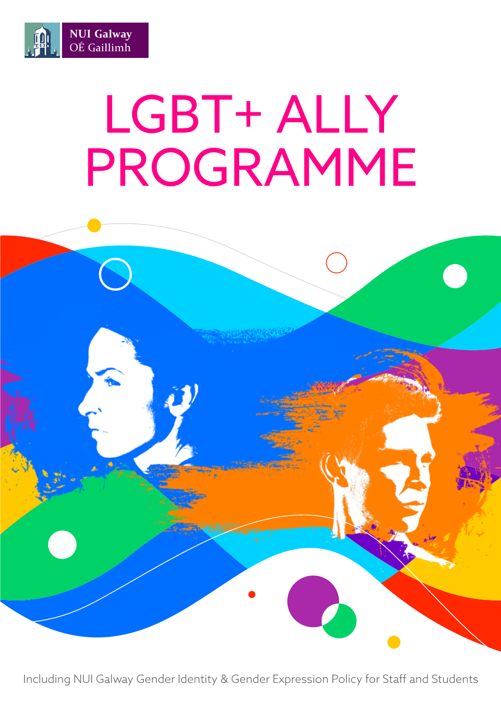 Lgbt+ Ally Programme