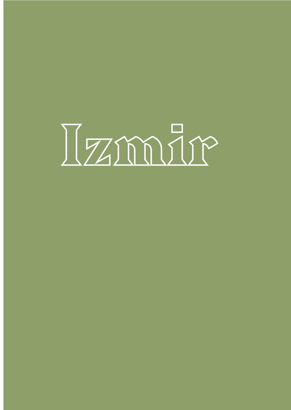 Kayseri, Adana, İzmir, Elazığ, Niğde, Bursa : Assessment Report Of