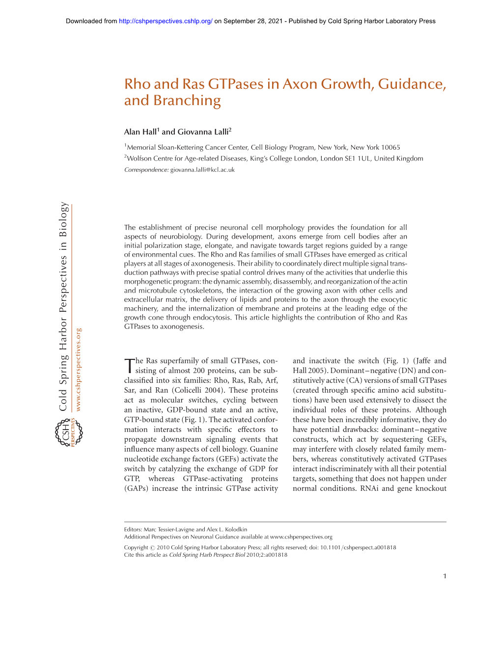 Rho and Ras Gtpases in Axon Growth, Guidance, and Branching