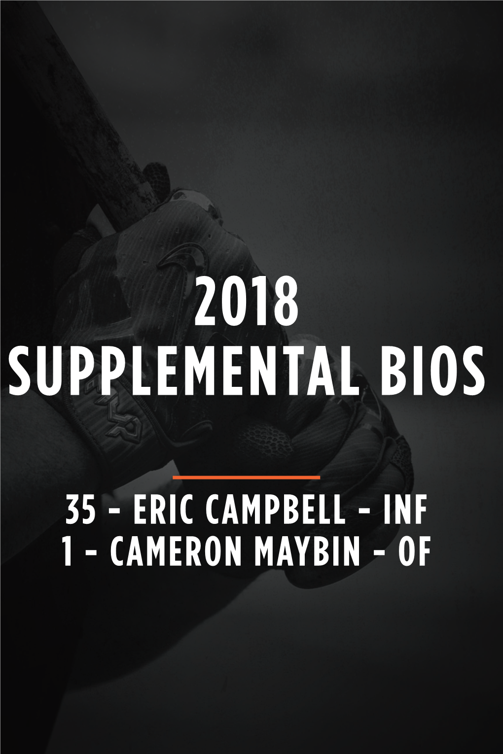 2018 Supplemental Bios