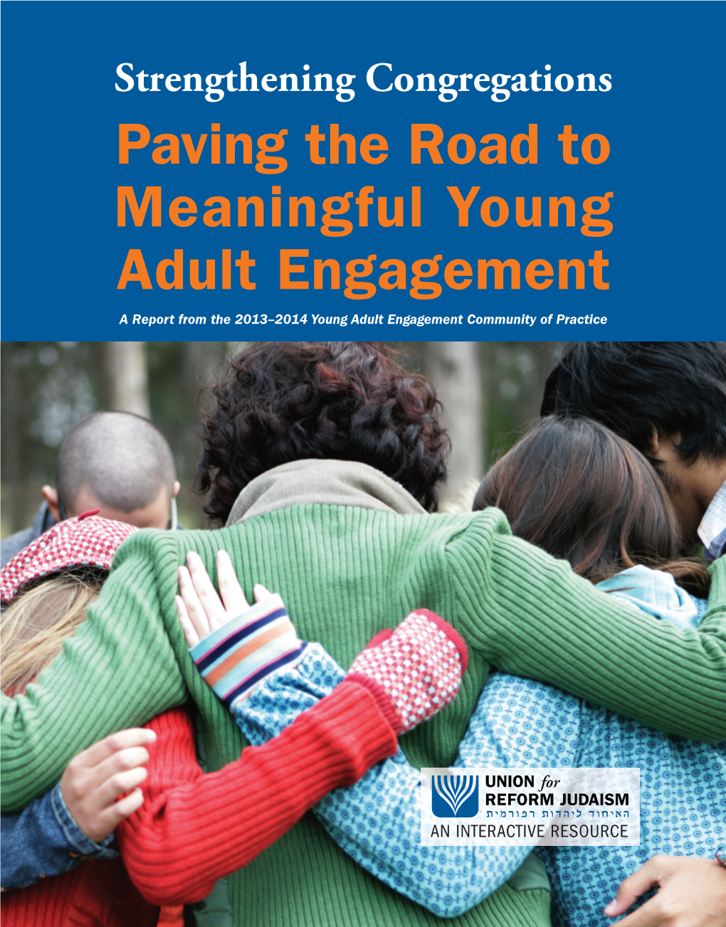 Paving the Road to Meaningful Young Adult Engagement a Report from the 2013–2014 Young Adult Engagement Community of Practice