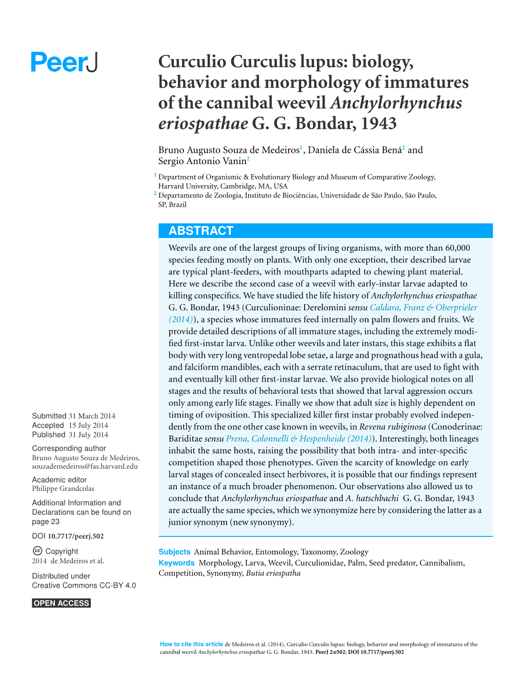 Curculio Curculis Lupus: Biology, Behavior and Morphology of Immatures of the Cannibal Weevil Anchylorhynchus Eriospathae G. G. Bondar, 1943