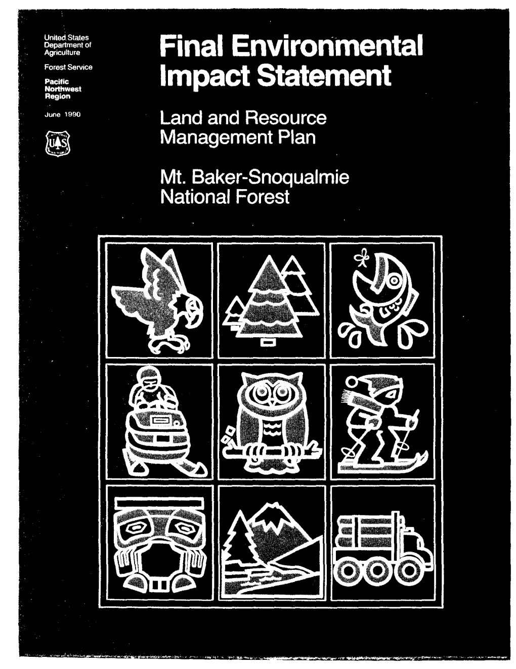 FINAL ENVIRONMENTAL IMPACT STATEMENT Mt