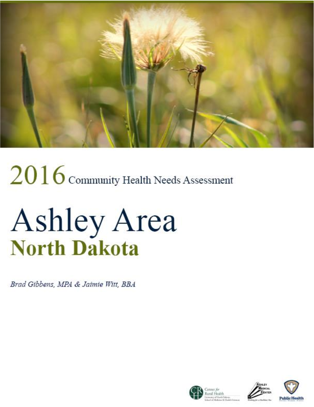 2016 Community Health Needs Assessment