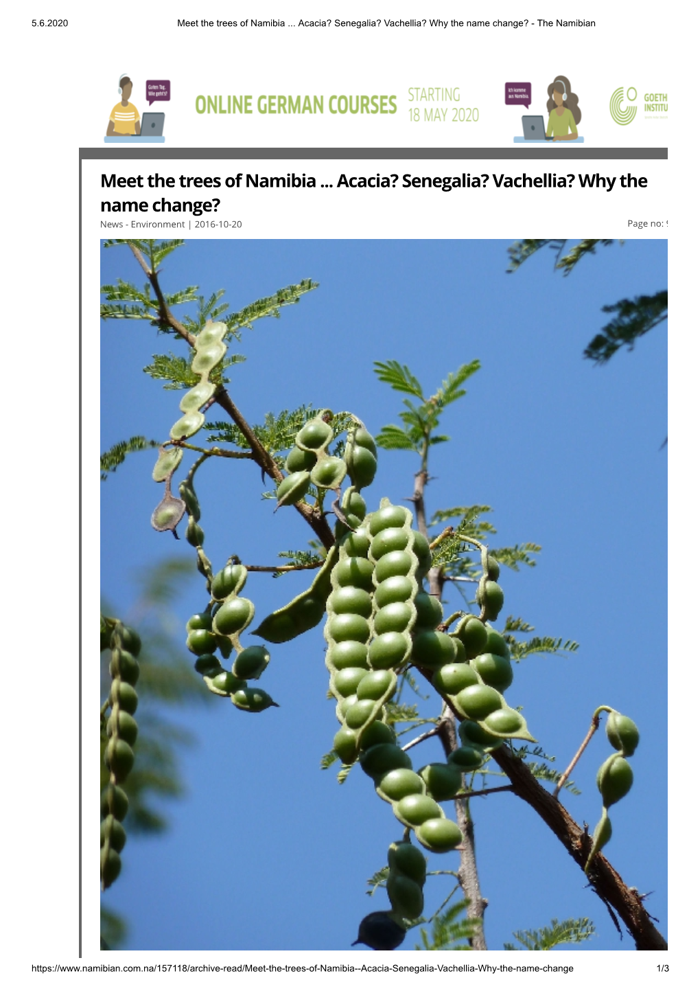 Meet the Trees of Namibia ... Acacia? Senegalia? Vachellia? Why the Name Change? - the Namibian