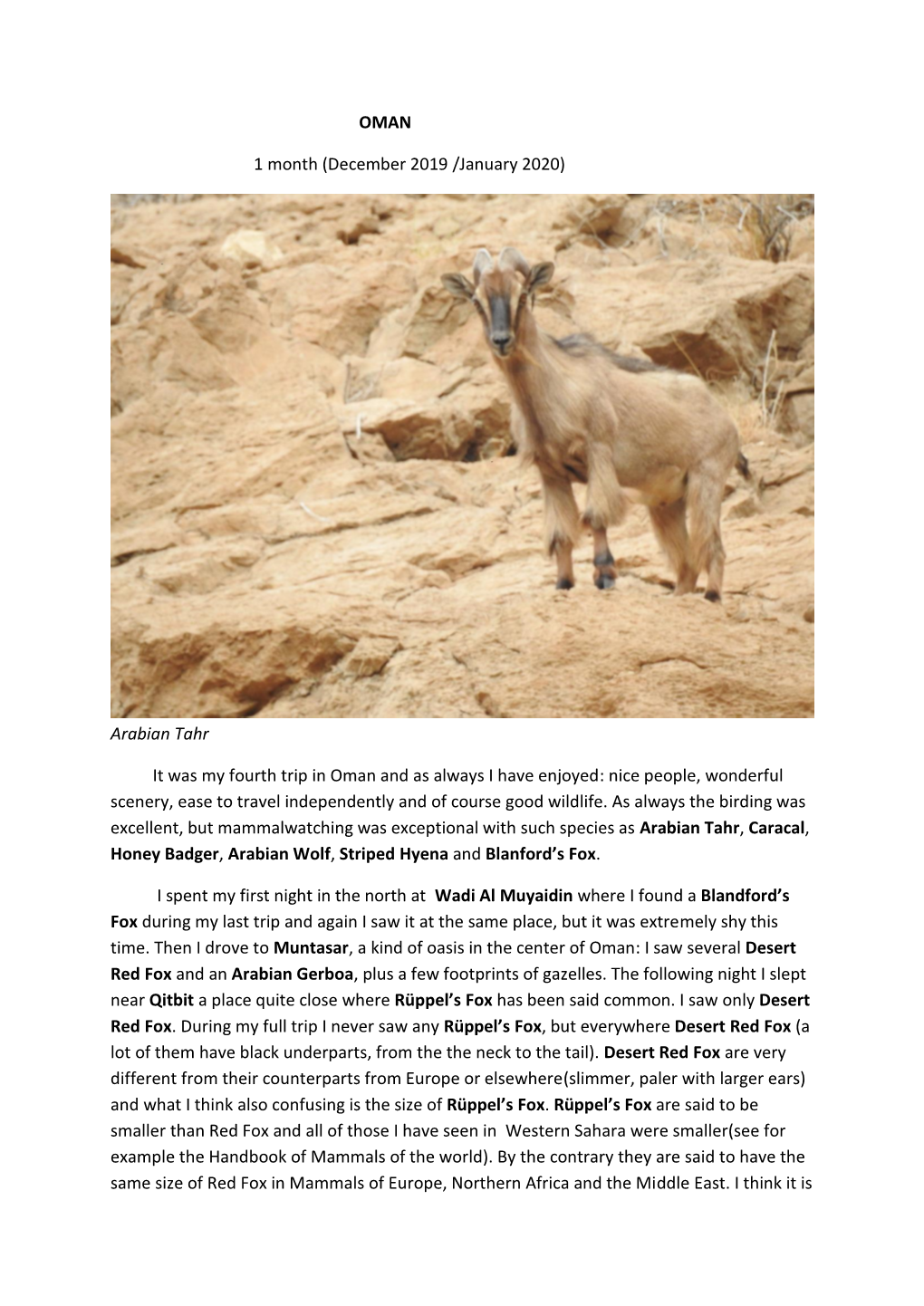 OMAN 1 Month (December 2019 /January 2020) Arabian Tahr It Was