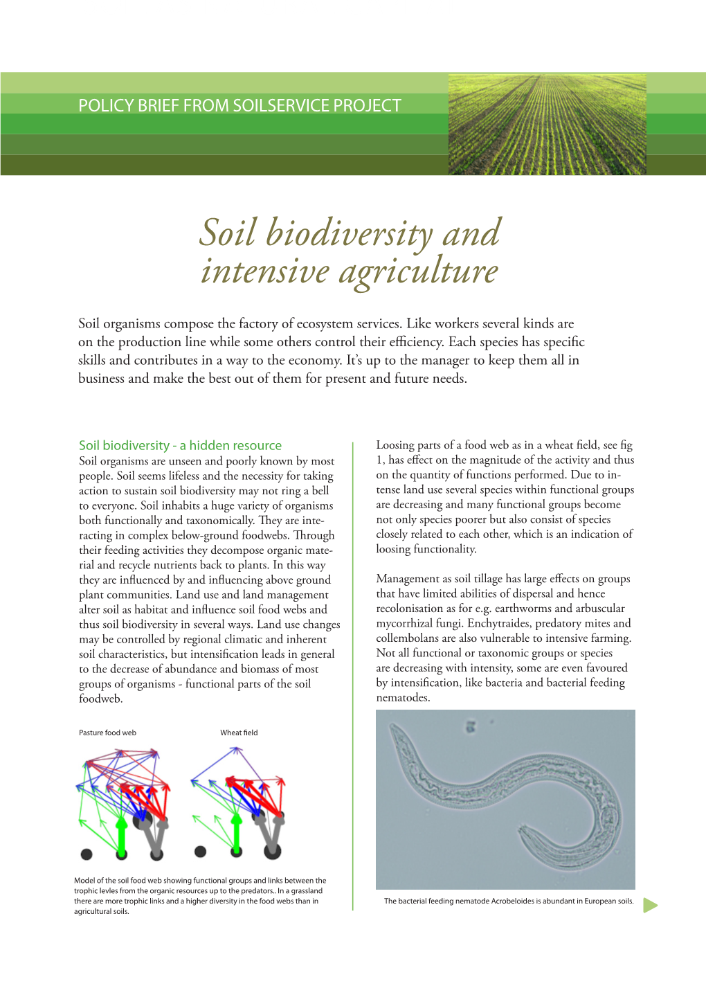 Soil Biodiversity and Intensive Agriculture