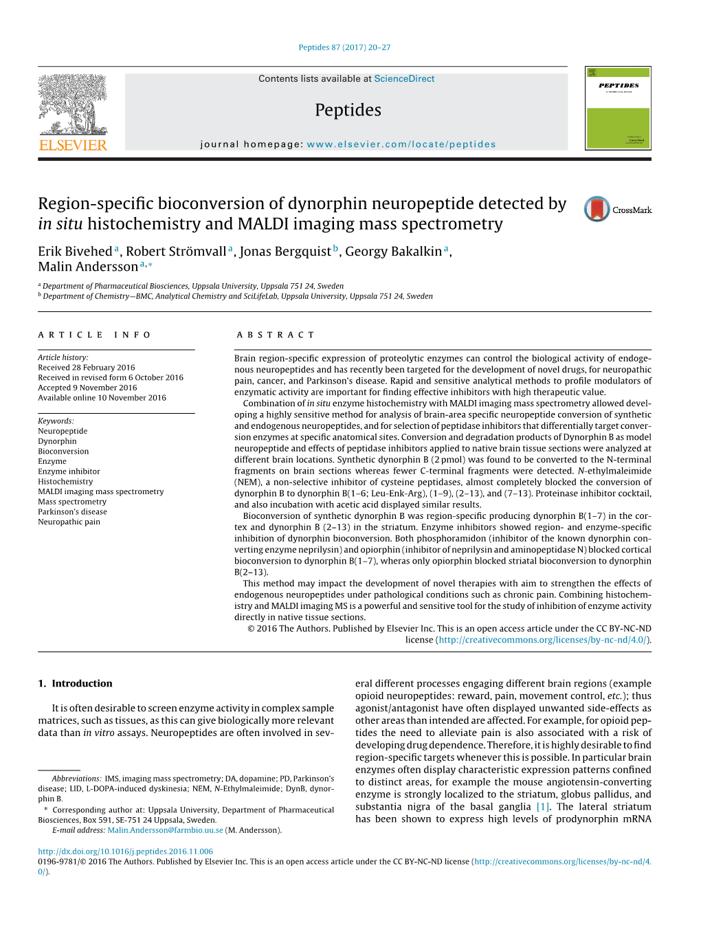 Region-Specific Bioconversion of Dynorphin Neuropeptide Detected