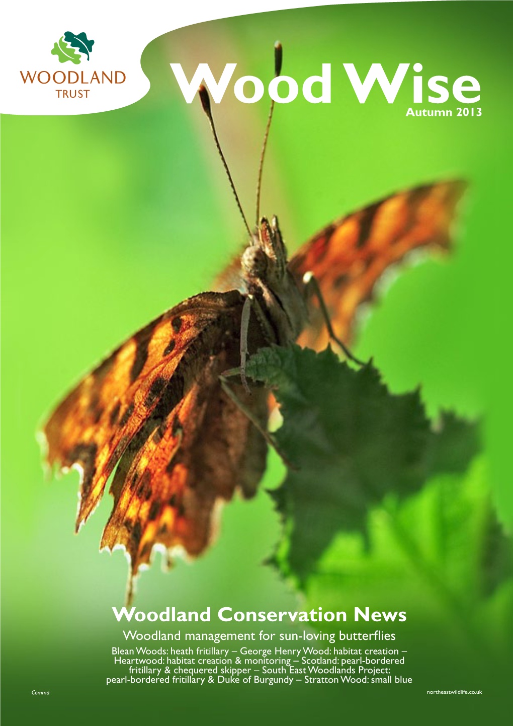 Wood Wise – Woodland Conservation News Autumn 2013