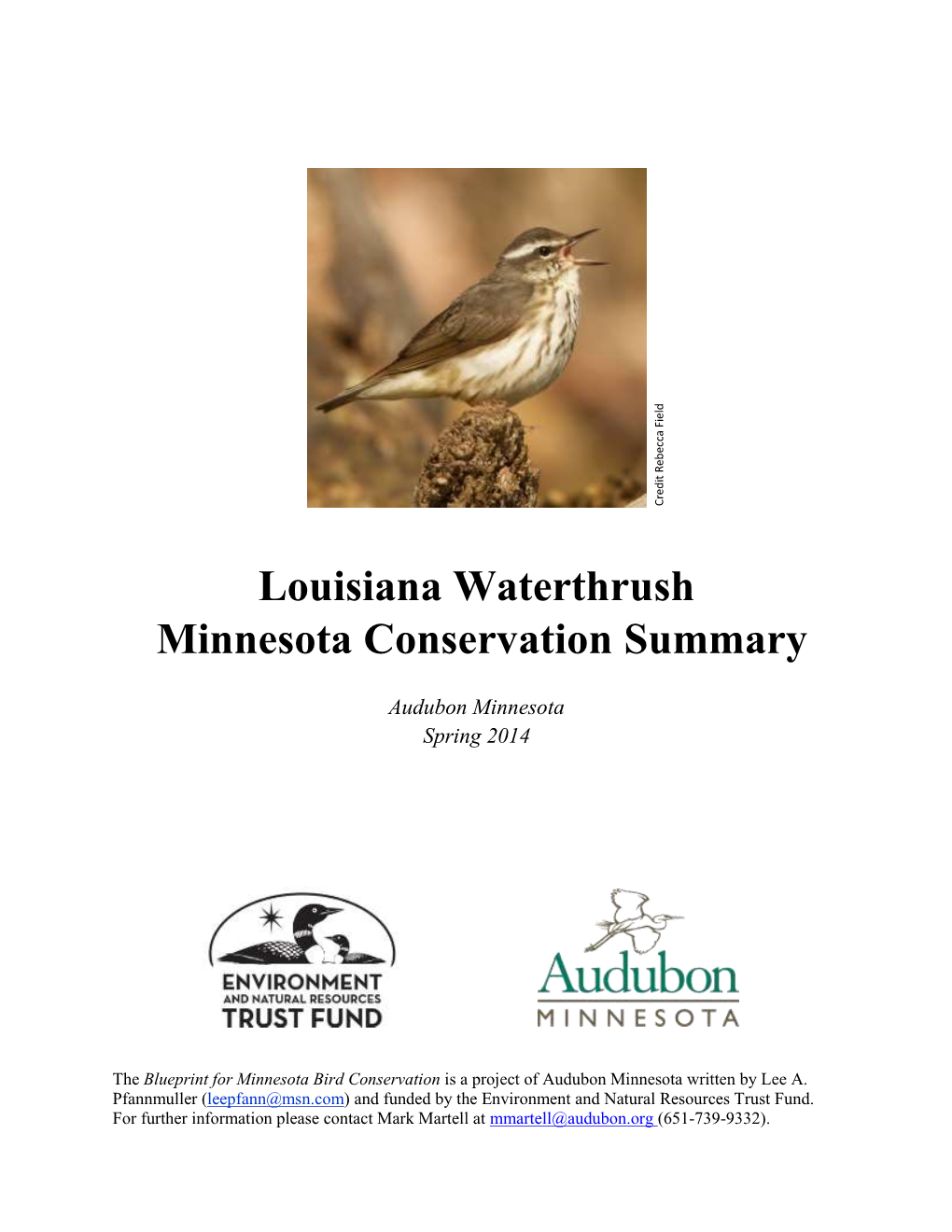 Louisiana Waterthrush Minnesota Conservation Summary