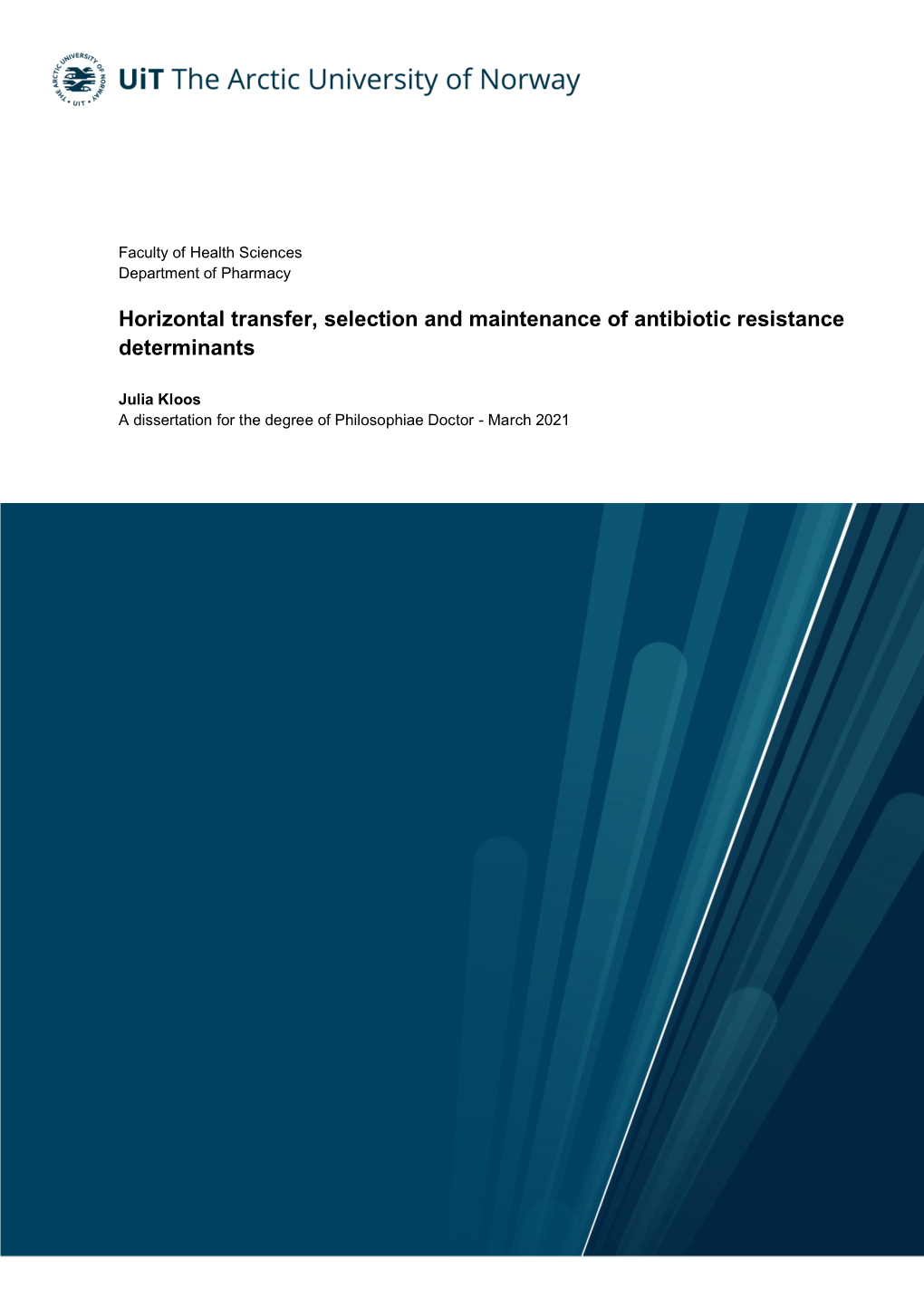 Horizontal Transfer, Selection and Maintenance of Antibiotic Resistance Determinants