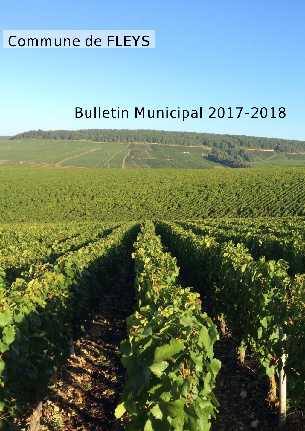 Bulletin Municipal Mairie De Fleys Mars 2017-2018