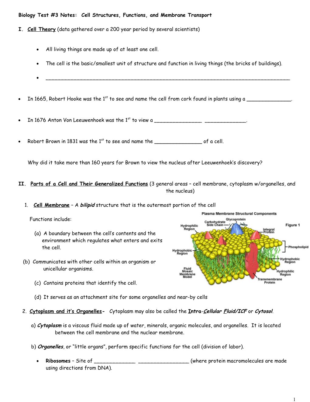 Biology Notes for Test #2: Cell Structures and Functions, Microscopy, and Somatic Cell