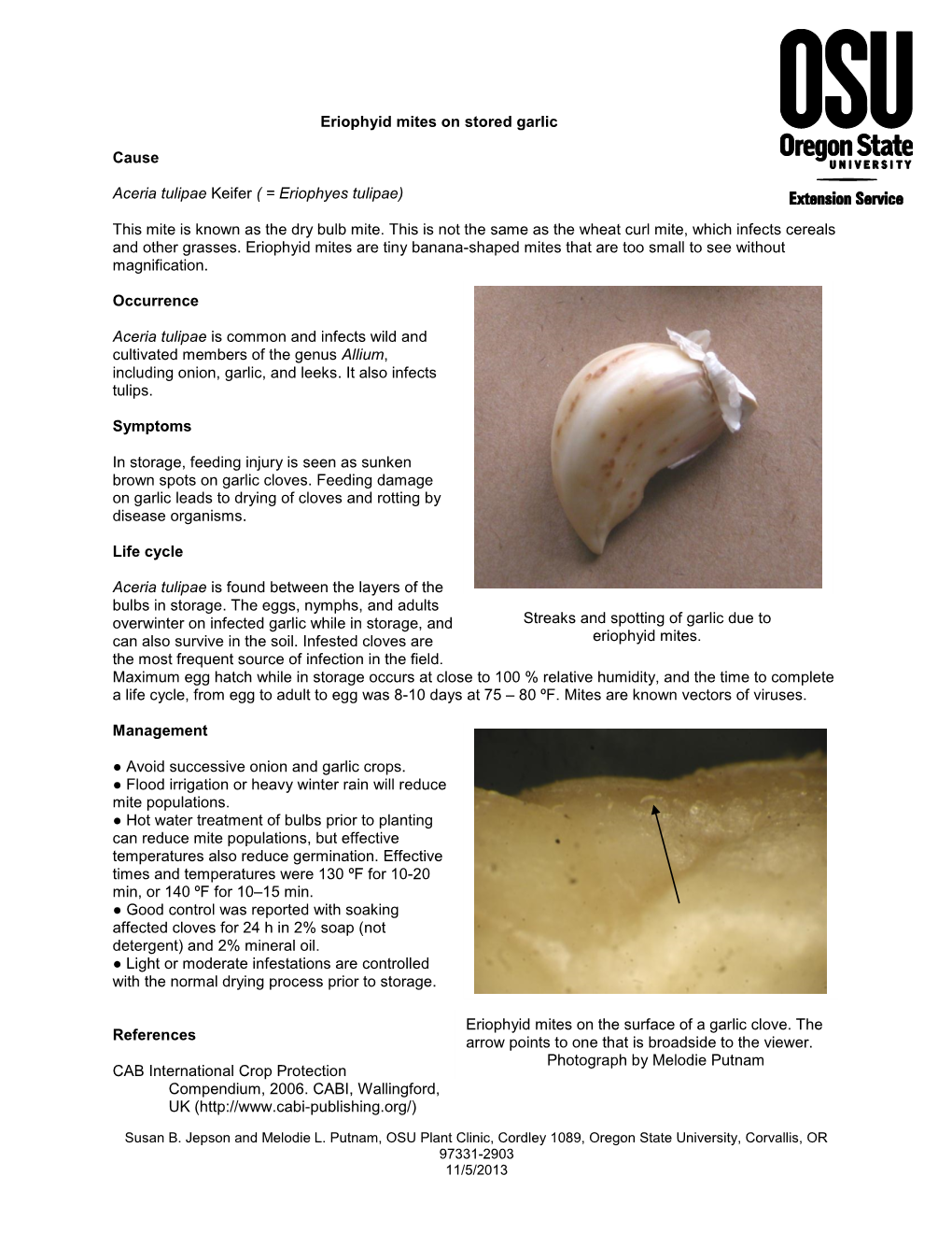 Mite Damage on Stored Garlic