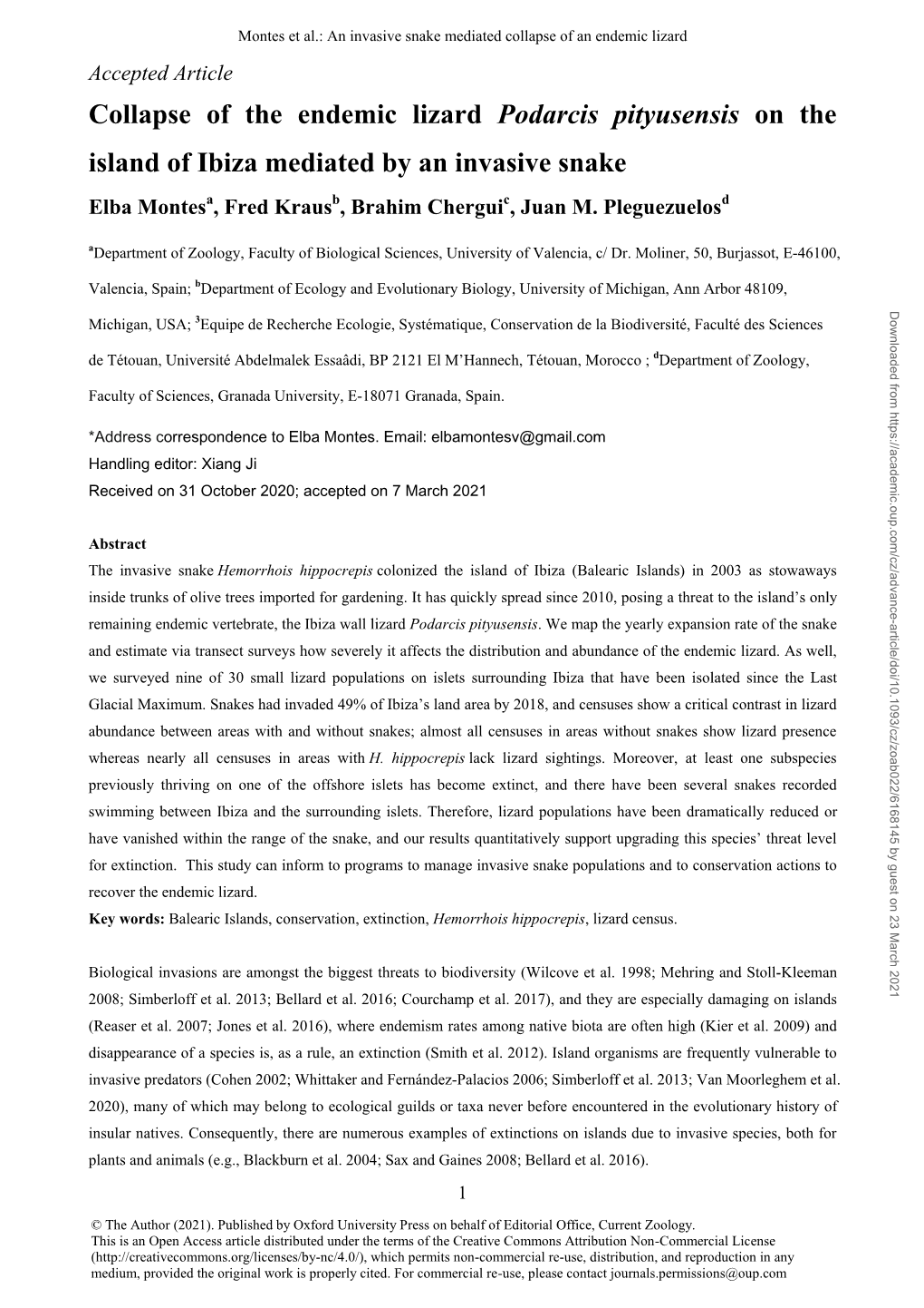 Collapse of the Endemic Lizard Podarcis Pityusensis on the Island of Ibiza Mediated by an Invasive Snake Elba Montesa, Fred Krausb, Brahim Cherguic, Juan M