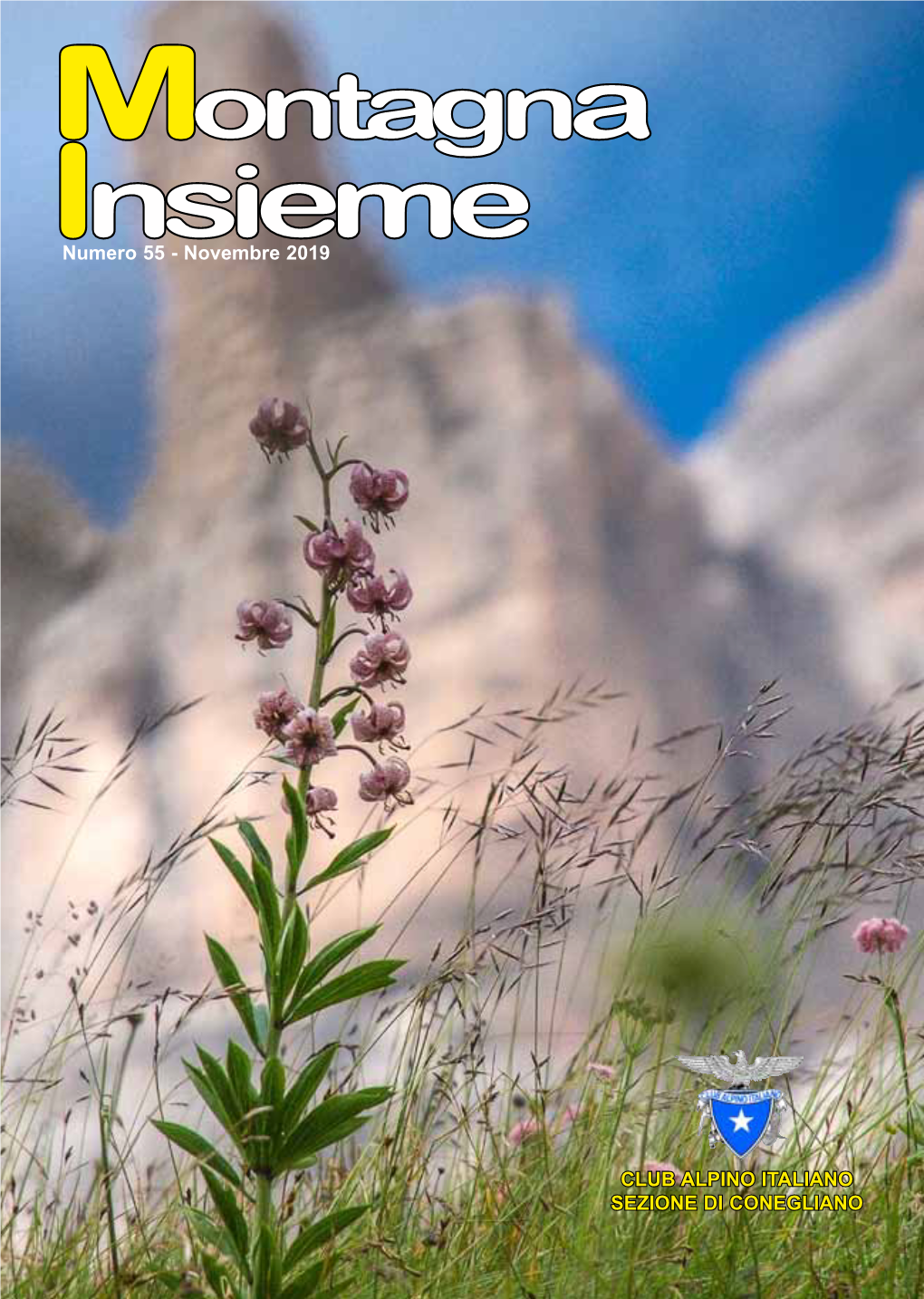 Montagna Insieme Numero 55 - Novembre 2019