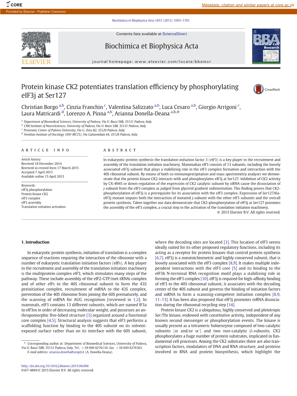 Protein Kinase CK2 Potentiates Translation Efficiency By