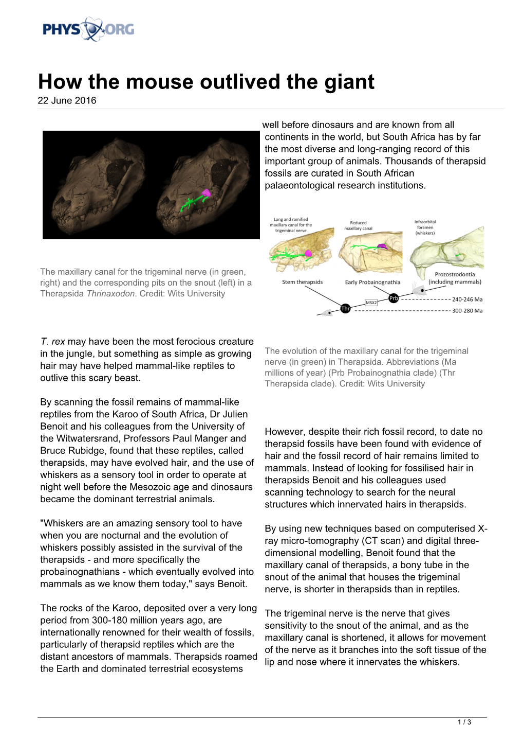 How the Mouse Outlived the Giant 22 June 2016