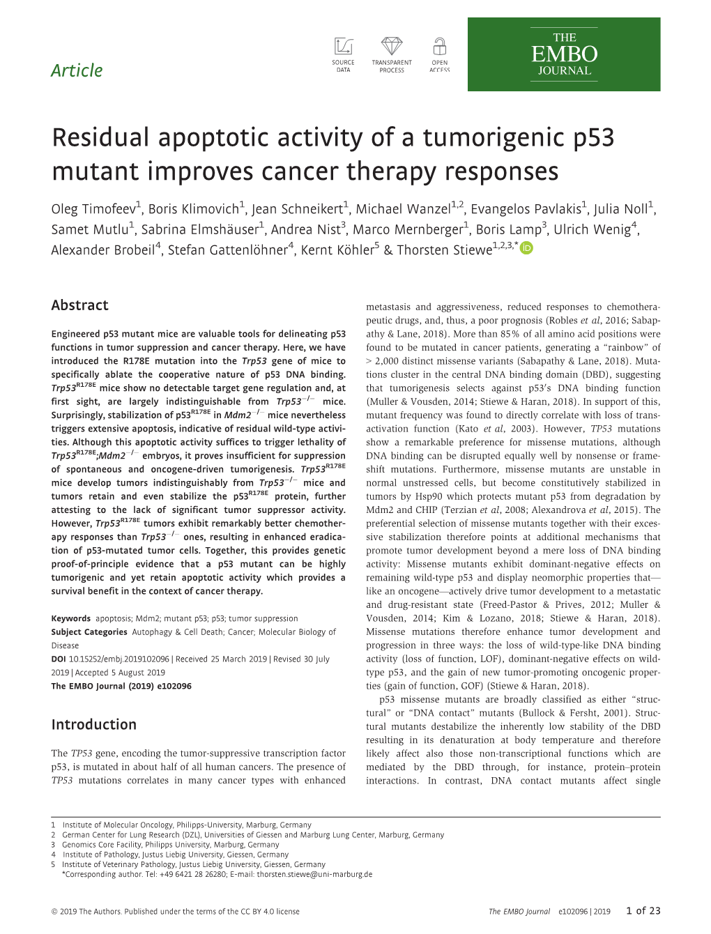 Residual Apoptotic Activity of a Tumorigenic P53 Mutant Improves Cancer Therapy Responses