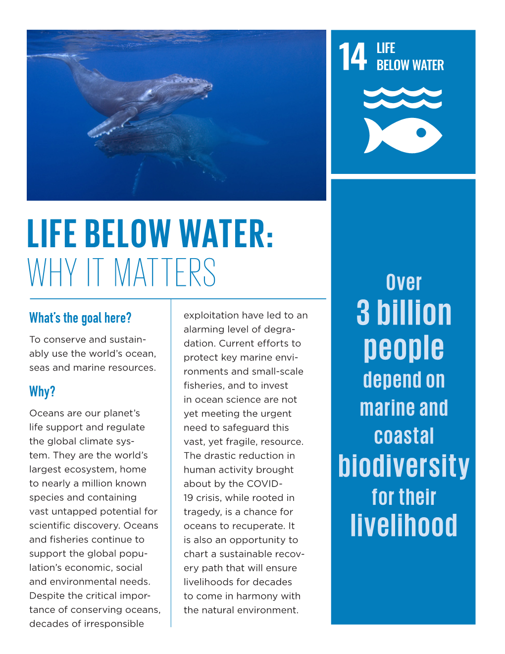 LIFE BELOW WATER: WHY IT MATTERS Over