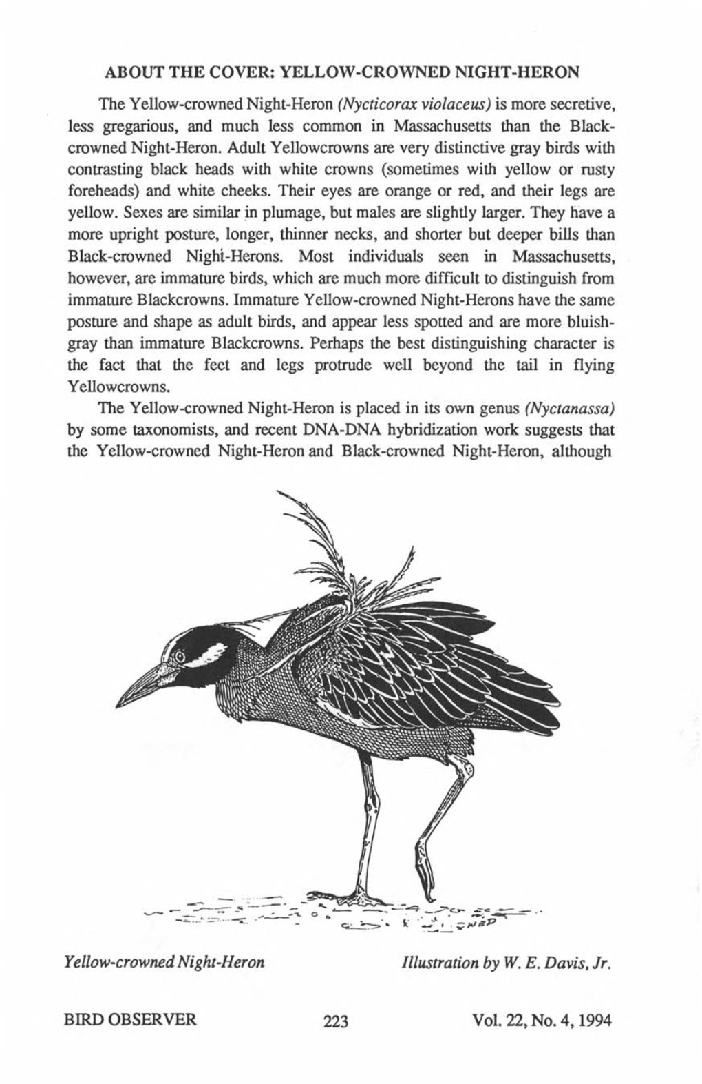 ABOUT the COVER: YELLOW-CROWNED NIGHT-HERON the Yellow-Crowned Night-Heron (Nycticorax Violaceus) Is More Secretive, Less Gregar